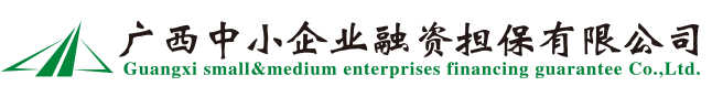 广西中小企业融资担保有限公司