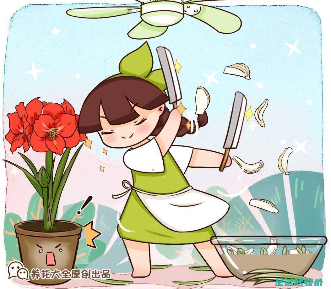 切洋葱不再流泪？这些小窍门超实用 (切洋葱不再流鼻血)