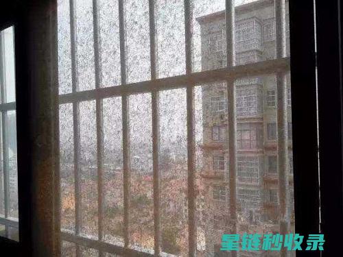 告别脏纱窗：简单几步快速清洁 (脏纱窗怎么清洗)