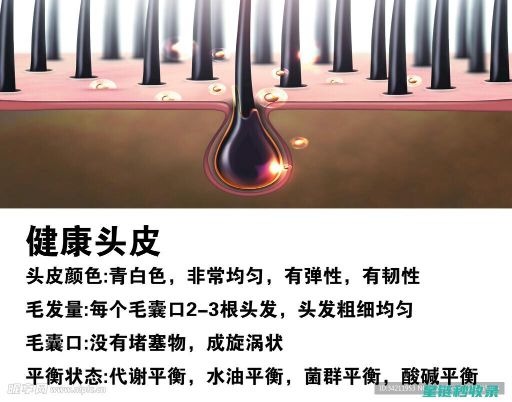 头皮健康与头发的关系